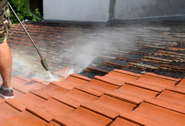 Why Choose Our Certified Pressure Washing Experts for Your Project Needs in Livingston, TX?